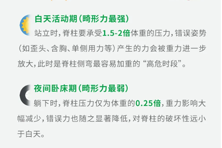 脊柱側(cè)彎支具