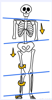 扁平足和脊柱側(cè)彎之間有關(guān)聯(lián)嗎？